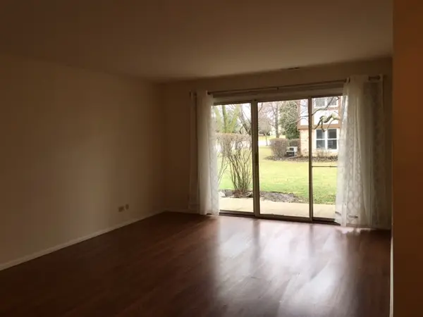 251 Coventry CIR #251, Vernon Hills, IL 60061