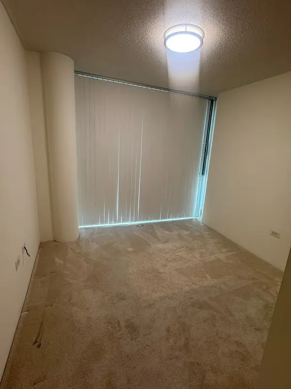 3120 S Indiana AVE #302, Chicago, IL 60616