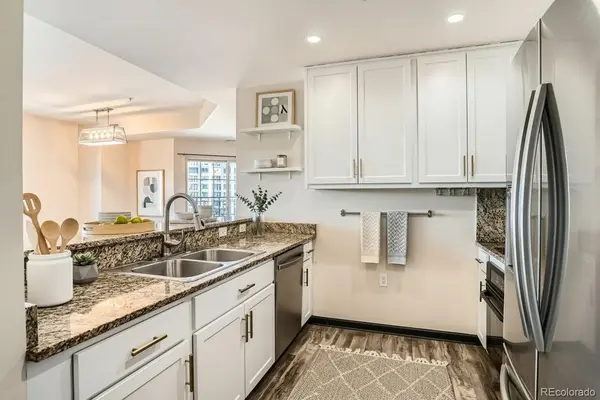 925 N Lincoln ST #8H, Denver, CO 80203
