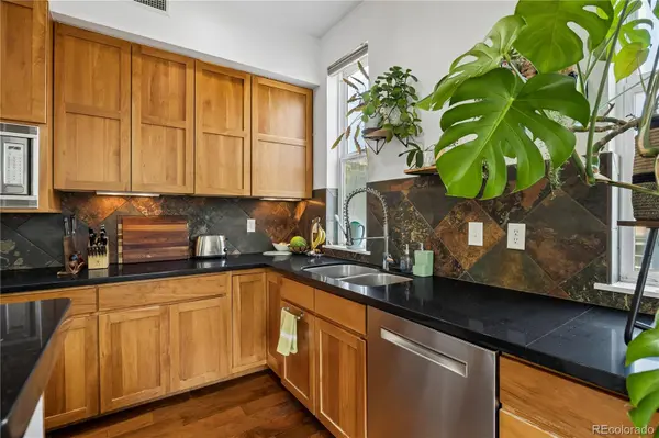 1738 N Franklin ST #3D, Denver, CO 80218