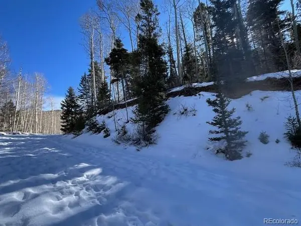 Lot 5252 Scott RD, Fort Garland, CO 81133