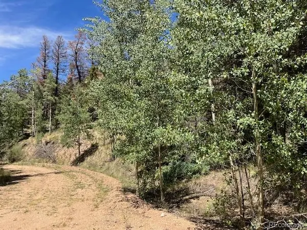 Lot 5655 Highlander RD, Fort Garland, CO 81133