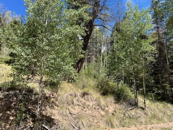 Lot 5655 Highlander RD, Fort Garland, CO 81133