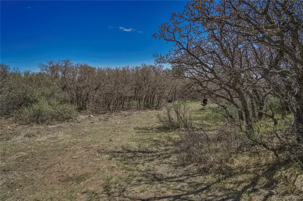 CL&L Lot 93, Walsenburg, CO 81089