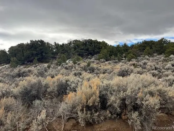 Lot 2087 Sandoval RD, Fort Garland, CO 81133
