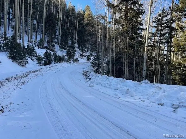 Lot 5339 Howard RD, Fort Garland, CO 81133