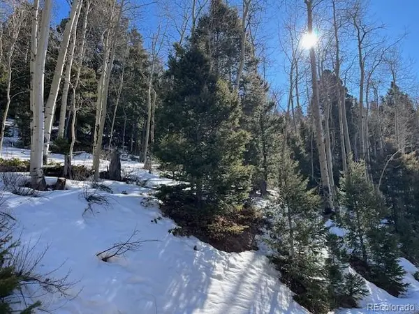 Lot 5339 Howard RD, Fort Garland, CO 81133