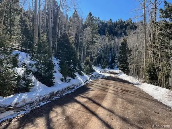 Lot 5339 Howard RD, Fort Garland, CO 81133