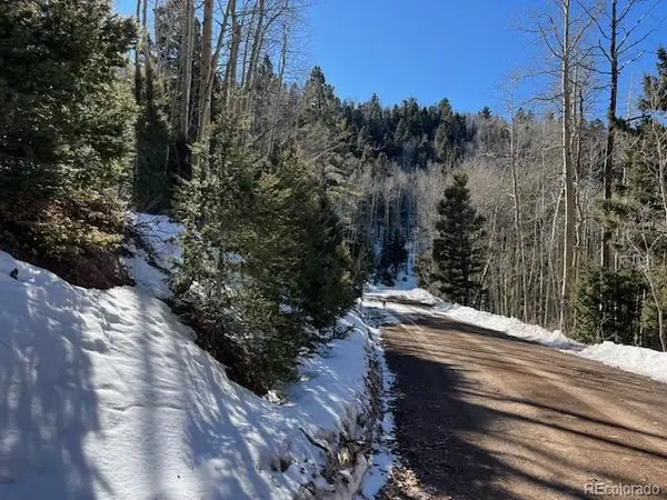 Lot 5339 Howard RD, Fort Garland, CO 81133