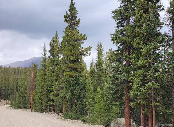 806 Bobcat LN, Fairplay, CO 80440