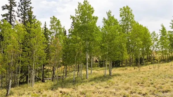 540 Turk Pony WAY, Como, CO 80432