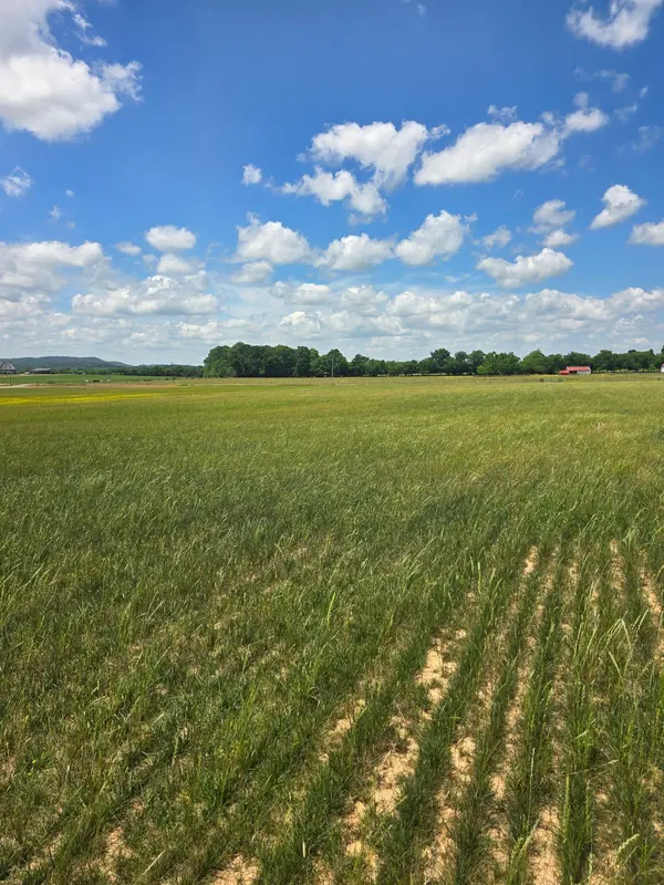 0 Shoemaker rd, Eagleville, TN 37060