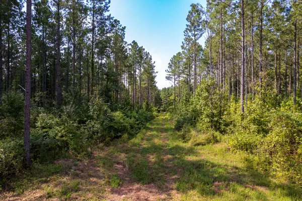 0 County Road 966, Calhoun, TN 37309