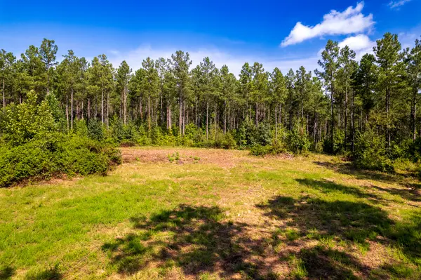 0 County Road 966, Calhoun, TN 37309