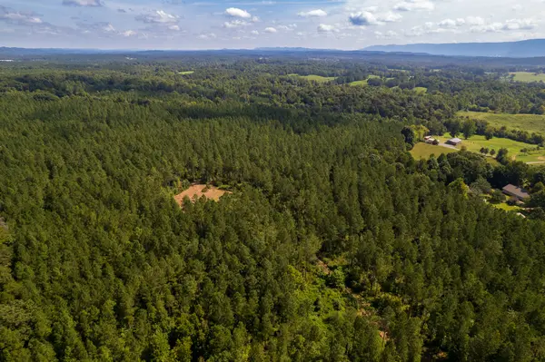 0 County Road 966, Calhoun, TN 37309