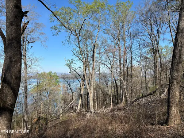 38 Johnson Lane, Ten Mile, TN 37880