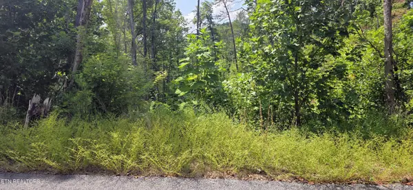14 Sugar Maple Loop Rd, Sevierville, TN 37862
