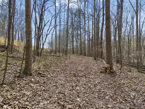 0 Old Highway 31E, Westmoreland, TN 37186