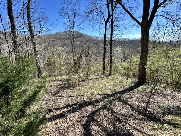 209 Sandgate Dr, Smithville, TN 37166