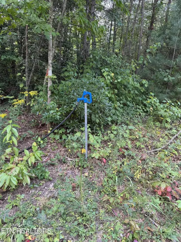 837 Bear Hollow Rd, Oneida, TN 37841