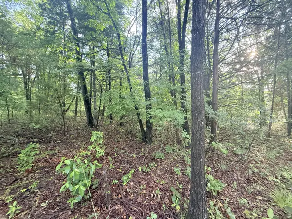 Lot 17, 18 Joe Bald Road, Kimberling City, MO 65686