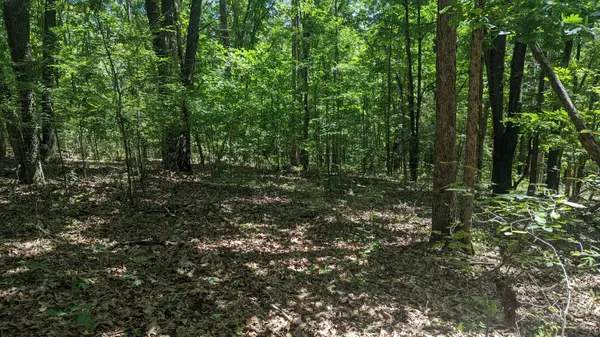 5148 Mo-173, Cape Fair, MO 65624
