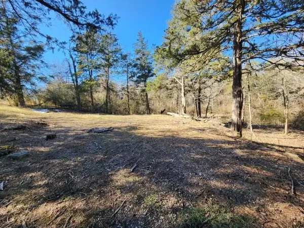 229 Redbud Street, Hollister, MO 65672