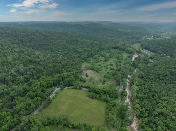 000 Reno Springs Road Tract 2 Road, Walnut Shade, MO 65771