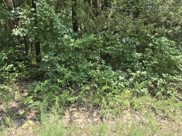 Lots 5 & 6 East Gate Road, Merriam Woods, MO 65740