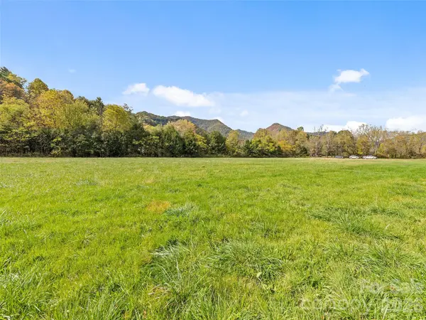 00 Carver Cove RD, Canton, NC 28716