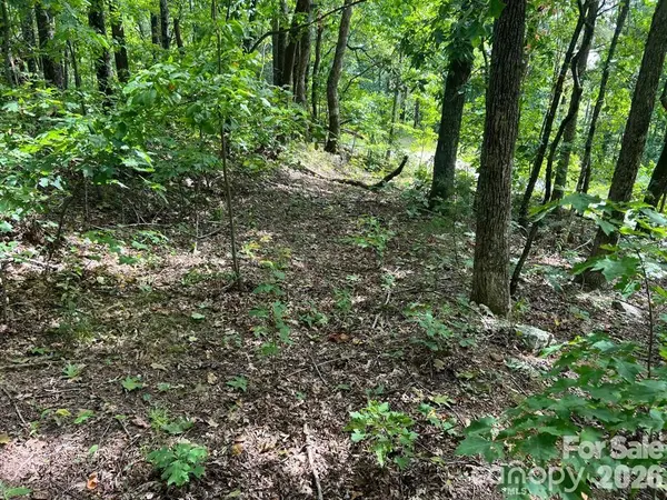 6792 Silver Creek LN, Morganton, NC 28655