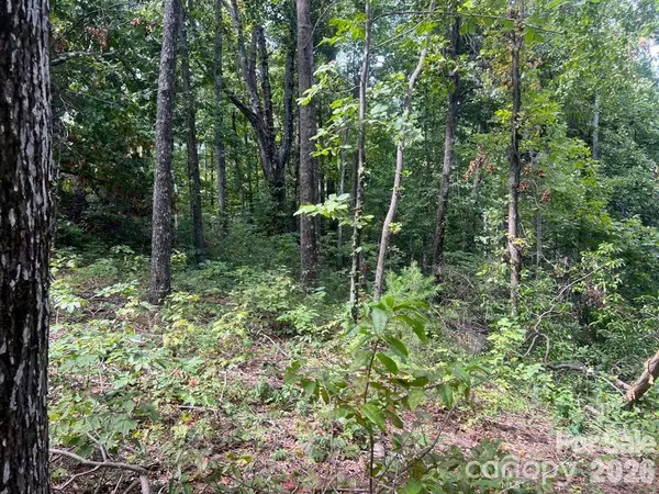 6792 Silver Creek LN, Morganton, NC 28655