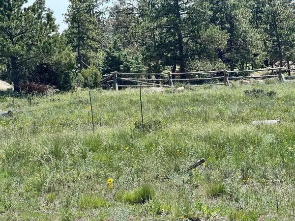 62 White Slide Mountain, Livermore, CO 80536