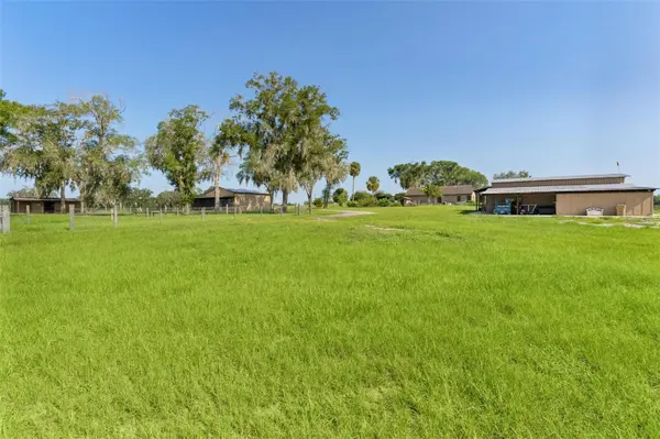 16215 DOUGLAS RD, Groveland, FL 34736