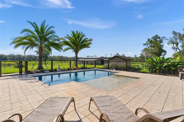 16215 DOUGLAS RD, Groveland, FL 34736