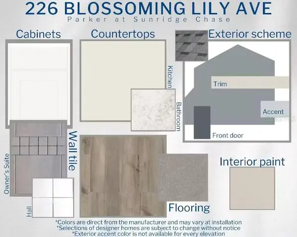 226 BLOSSOMING LILY AVE, Ruskin, FL 33570