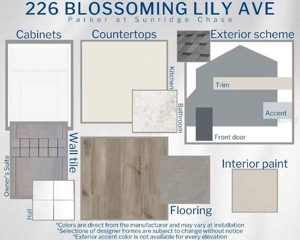 226 BLOSSOMING LILY AVE, Ruskin, FL 33570
