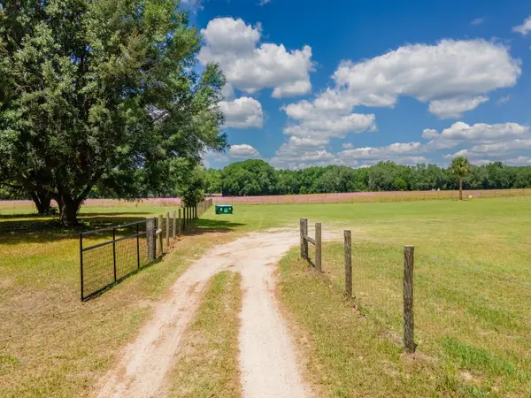 4381 NE 105TH PL, Anthony, FL 32617