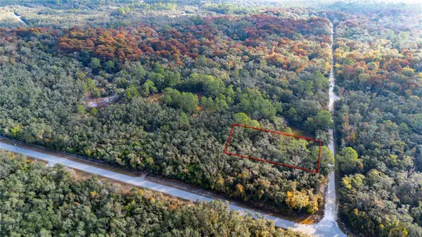 0 ROSE BLOOM LOT 7 AVE, Webster, FL 33597
