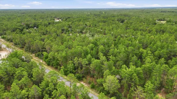 0000 SW BEAVER DR, Dunnellon, FL 34431