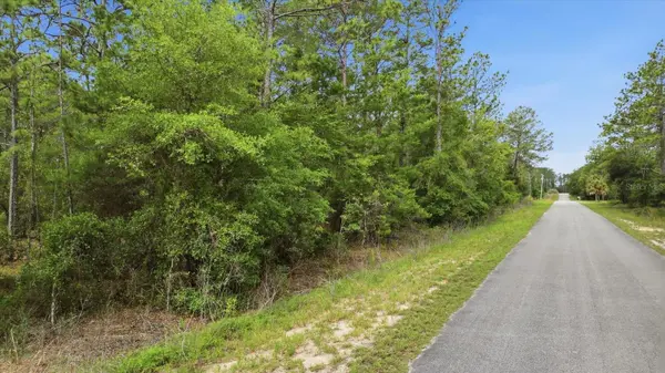 0000 SW BEAVER DR, Dunnellon, FL 34431
