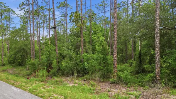 0000 SW NAUTILUS BLVD, Dunnellon, FL 34431