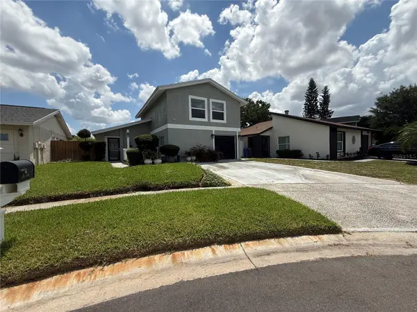 10009 REGAL WOODS LN, Tampa, FL 33624