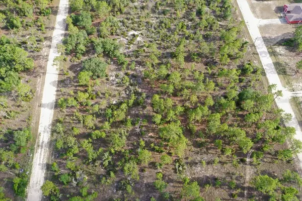 0000 NE 132 TERRACE LOT 4 TER, Williston, FL 32696