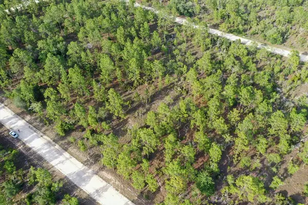 0000 NE 131 LOT 7 TER, Williston, FL 32696