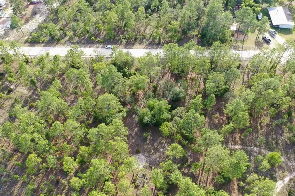 0000 NE 131 LOT 9 TER, Williston, FL 32696
