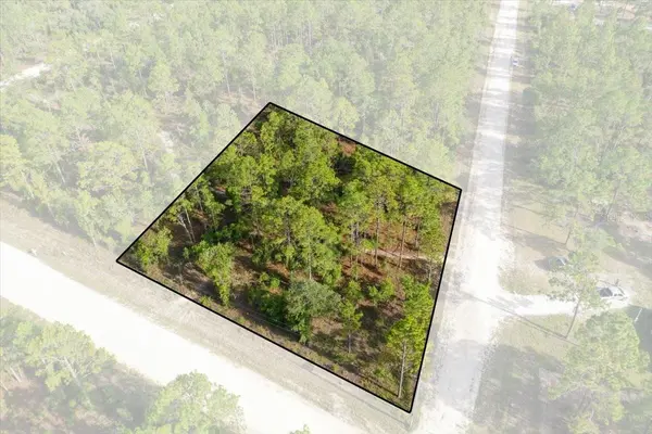 0000 NE 131 LOT 10 TER, Williston, FL 32696