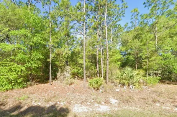 8621 N BLACKTHORN AVE,  Crystal River,  FL 34428