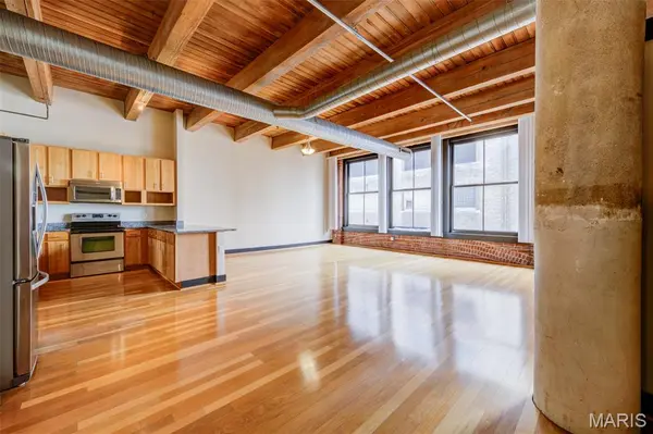 1113 Washington AVE #418, St Louis, MO 63101