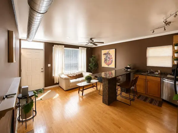 1028 W 20th PL #1, Chicago, IL 60608